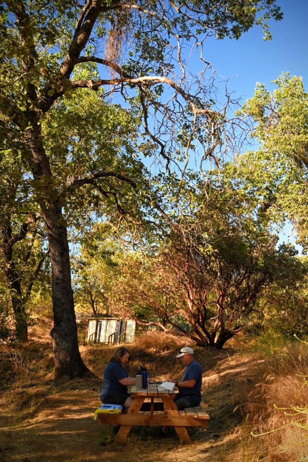 Campground At Sequoia Mountain Farms - Bring Your Own Tent Or Rv - No Bedrooms Or Beds Provided Miramonte Zewnętrze zdjęcie