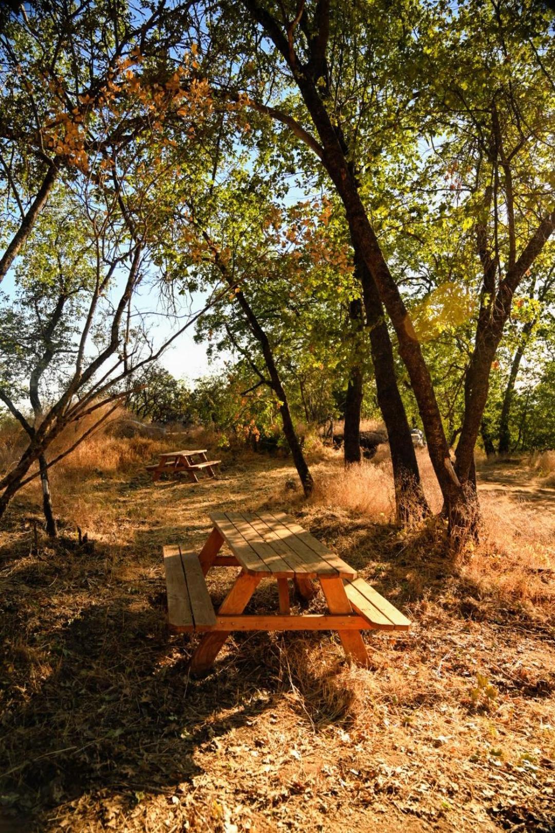 Campground At Sequoia Mountain Farms - Bring Your Own Tent Or Rv - No Bedrooms Or Beds Provided Miramonte Zewnętrze zdjęcie